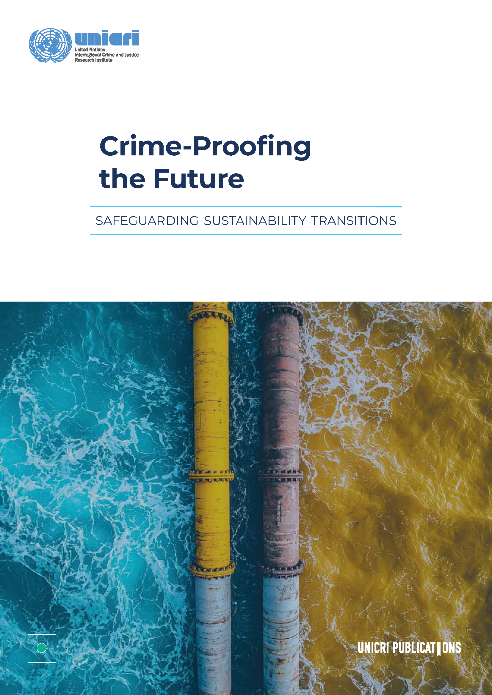 Crime-Proofing the Future: Safeguarding Sustainability Transitions