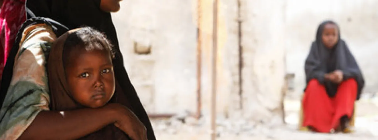 Promoting Rule of Law and Safeguarding Access to Justice Section Banner