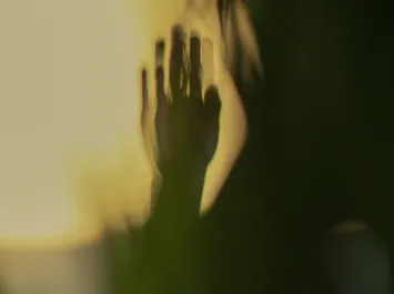 Technical Assistance in Building Capacity