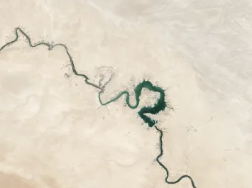 The Impact of Coronavirus on Terrorism in the Sahel