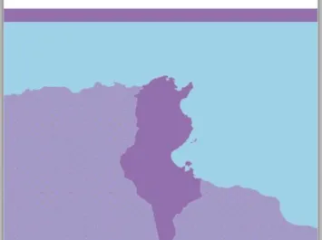 Cover IFFs and Asset Recovery Tunisia EN