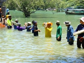 Promoting social justice and development