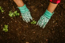 Sustainable Practices in Correctional Facilities