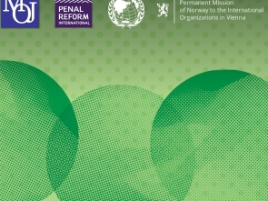 Green Prisons: Exploring Sustainability and Rehabilitation at the 15th UN Crime Congress