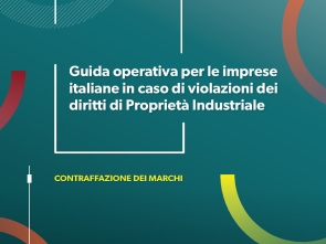 Operational Guide for Italian Businesses in Cases of Industrial Property Rights Infringement - 2026