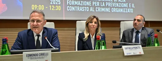 Fighting Crime through Inclusion and the Prevention of Recidivism in the UNICRI-ASI Project