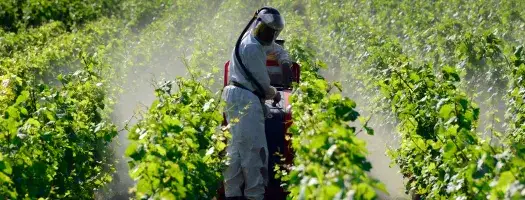 Ask the Expert: A Dedicated Session on Illegal and Counterfeit Pesticides