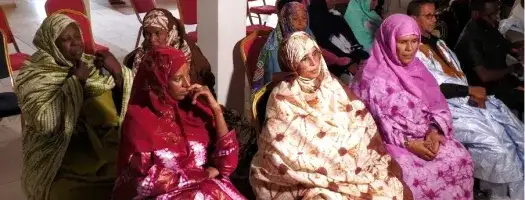 UNICRI strengthens local capacities to address climate security and violent extremism risks in Mauritania